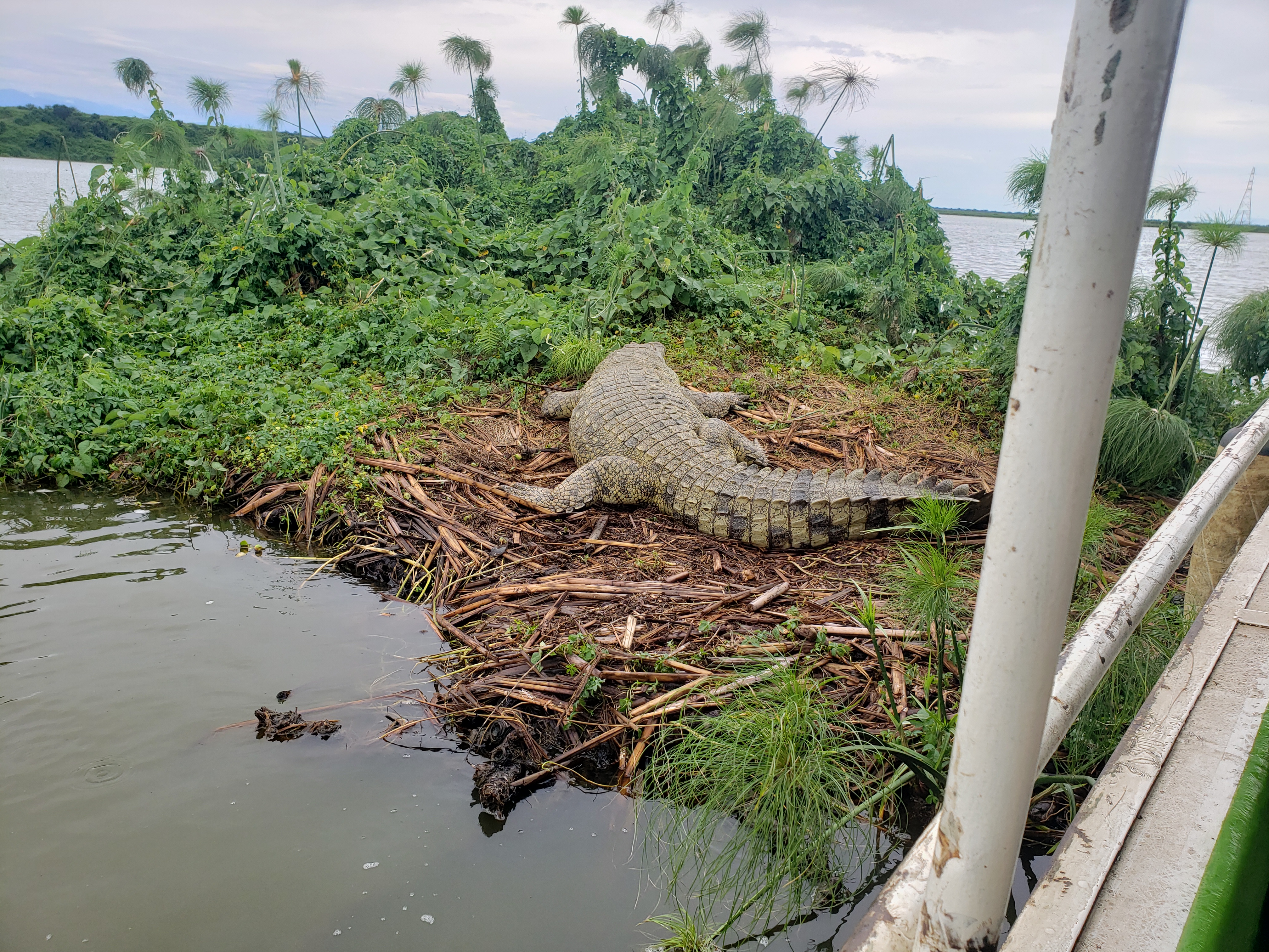 lake mburo